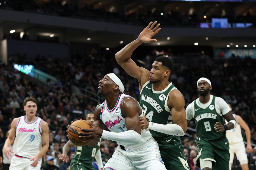 芳卉的夺冠 芳卉的夺冠